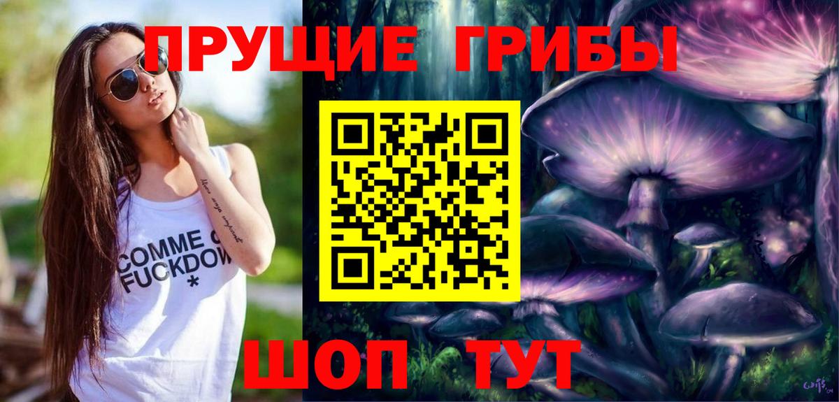 Псилоцибиновые грибы Psilocybine cubensis Калач-на-Дону